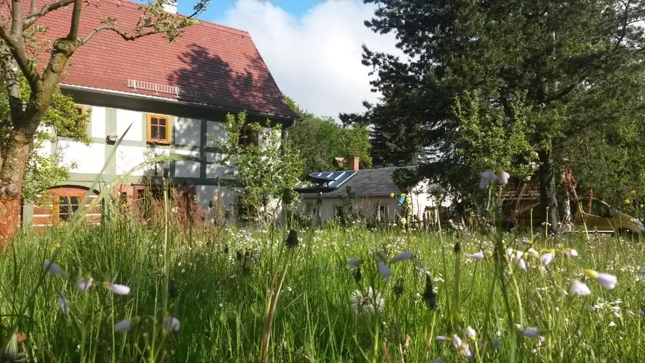 Pochebachhaeusl Villa Jonsdorf Eksteriør billede