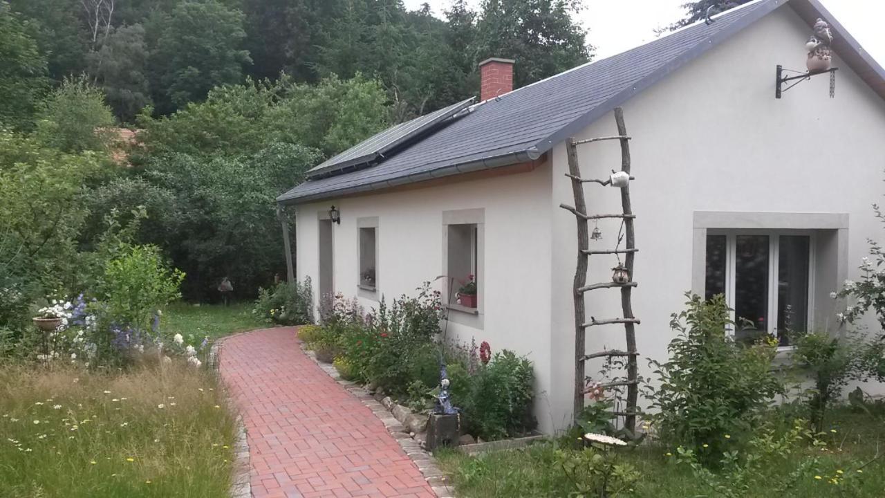 Pochebachhaeusl Villa Jonsdorf Eksteriør billede